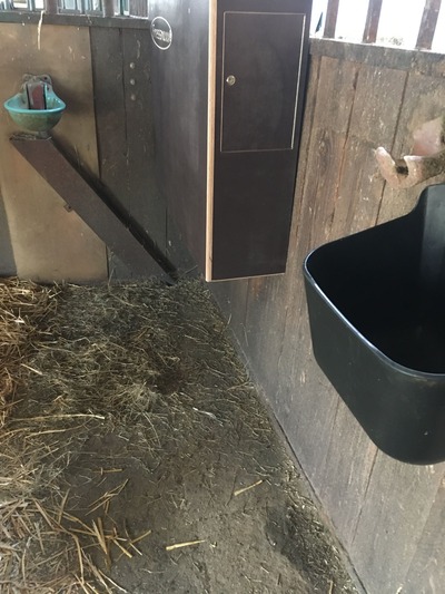 Leicht bedienbare Futterbox Fressmax Ansicht